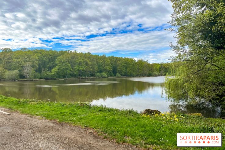 Huttopia, nos photos du camping nature à Rambouillet - C8691C2A 30CF 432A 971D 370BB70EA9AA