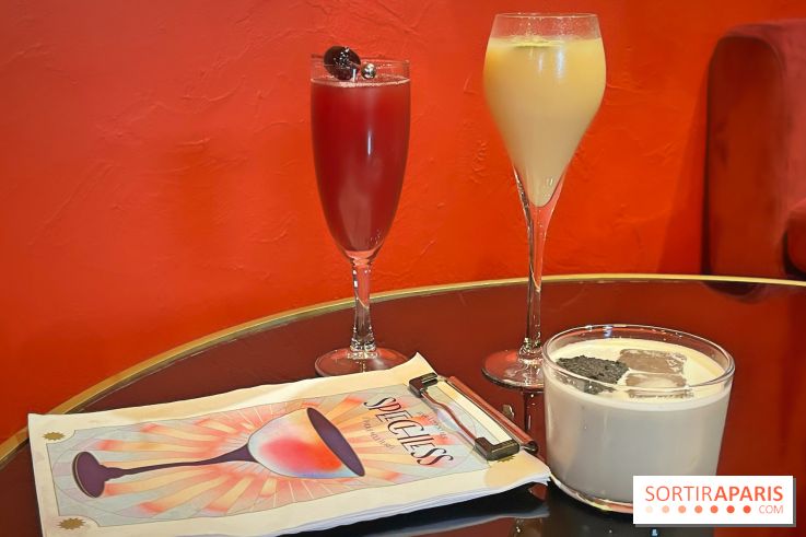 Speechless, le bar à cocktail à la programmation animée dans le 12e arrondissement de Paris - IMG 9758