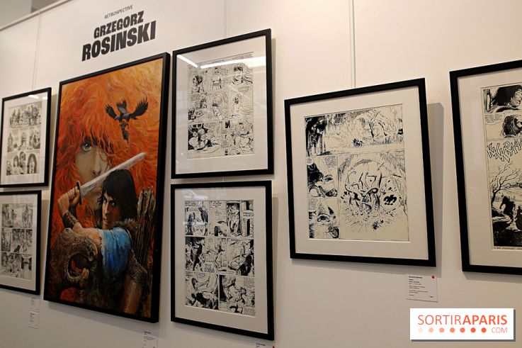 Rétrospective Grzegorz Rosinski, nos photos de l'expo gratuite à Paris - Expo Thorgal 17