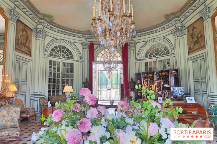 Château de Champs-sur-Marne, visuels
