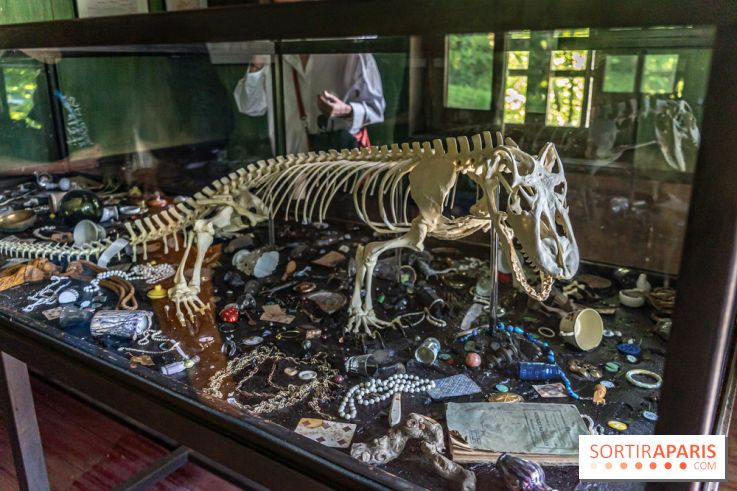 Le parcours d'art contemporain du Hangar Y se renouvelle  - A7C07322