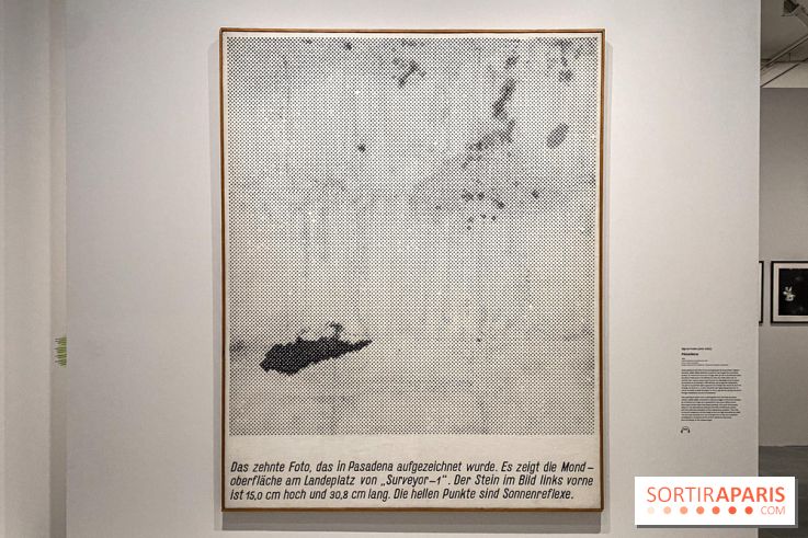 Dans le Flou, l'exposition dans le brouillard au Musée de l'Orangerie - IMG 5294