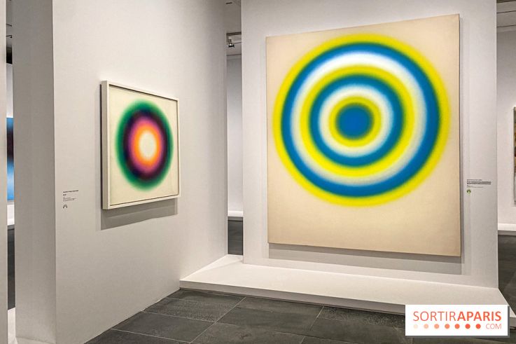 Dans le Flou, l'exposition dans le brouillard au Musée de l'Orangerie - IMG 5299