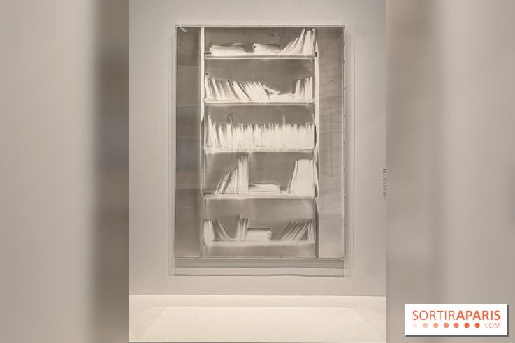 Dans le Flou, l'exposition dans le brouillard au Musée de l'Orangerie - IMG 5301