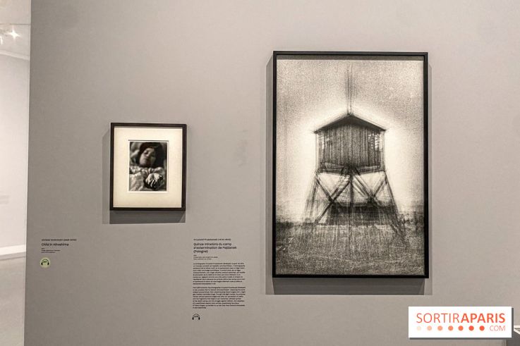 Dans le Flou, l'exposition dans le brouillard au Musée de l'Orangerie - IMG 5302