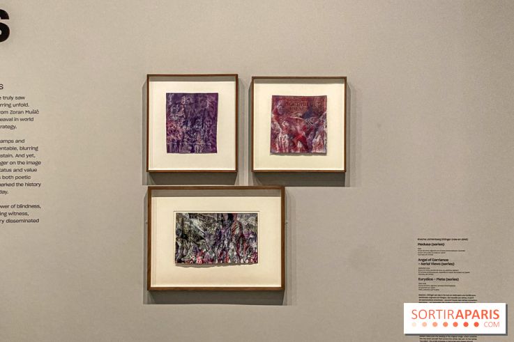 Dans le Flou, l'exposition dans le brouillard au Musée de l'Orangerie - IMG 5303