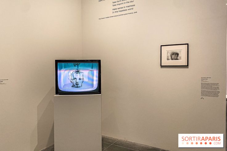 Dans le Flou, l'exposition dans le brouillard au Musée de l'Orangerie - IMG 5306