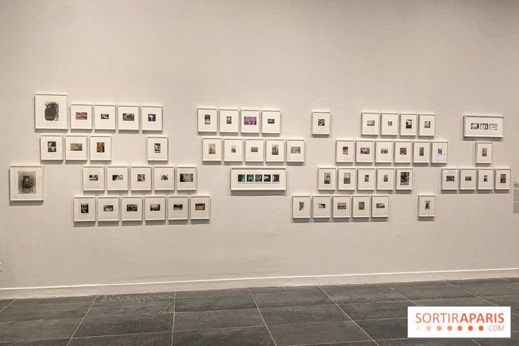 Dans le Flou, l'exposition dans le brouillard au Musée de l'Orangerie - IMG 5308