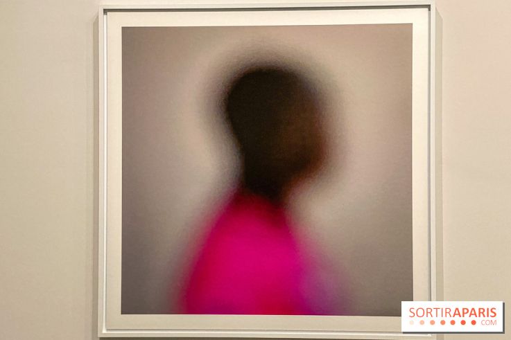 Dans le Flou, l'exposition dans le brouillard au Musée de l'Orangerie - IMG 5309