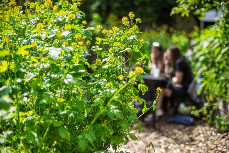 Campagne #1223 - Jardin21 LevietPhoto 062024 1798