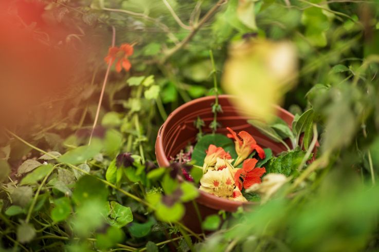 Campagne #1223 - Jardin21 Ateliers LevietPhoto 072025 2784