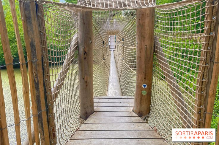 Mission Forêt - IMG 2142