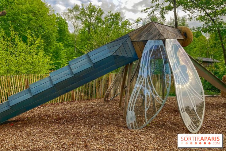 Mission Forêt - IMG 2144