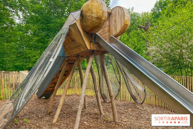 Mission Forêt - IMG 2145