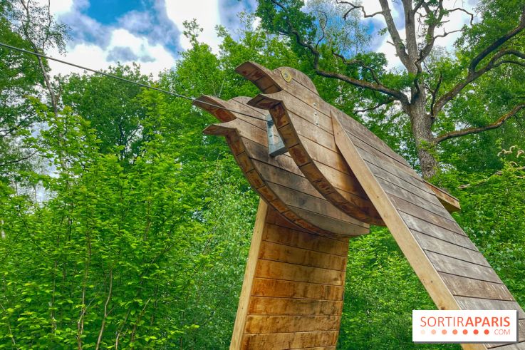 Mission Forêt - IMG 2147