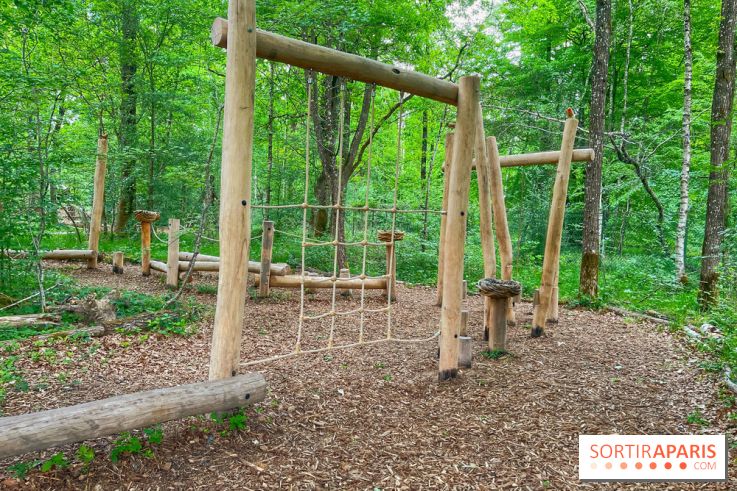 Mission Forêt - IMG 2149