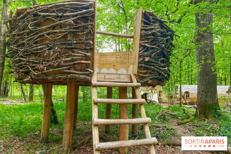 Mission Forêt - IMG 2151