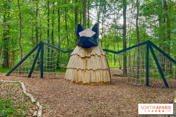 Mission Forêt - IMG 2152