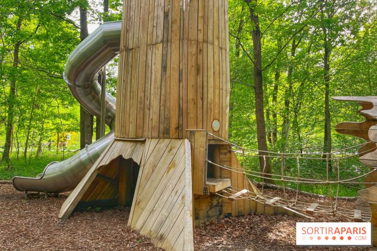 Mission Forêt - IMG 2155