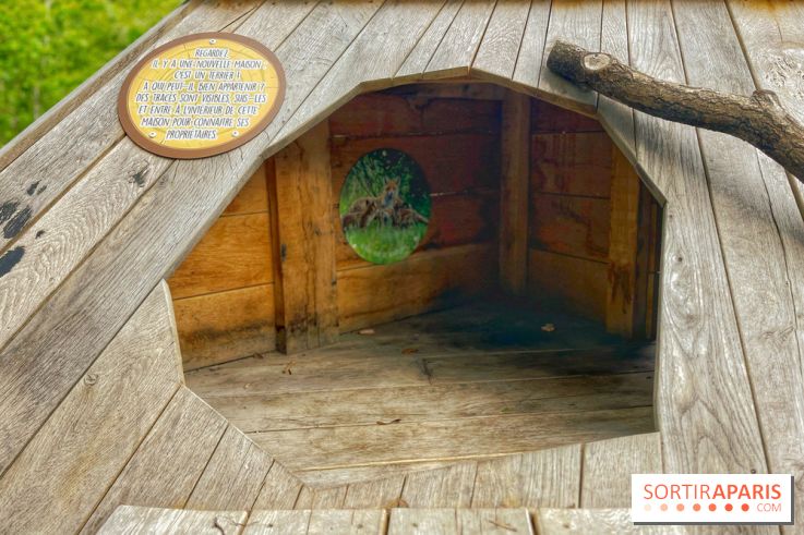 Mission Forêt - IMG 2156