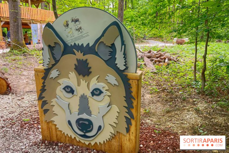 La Forêt des Loups - IMG 2086