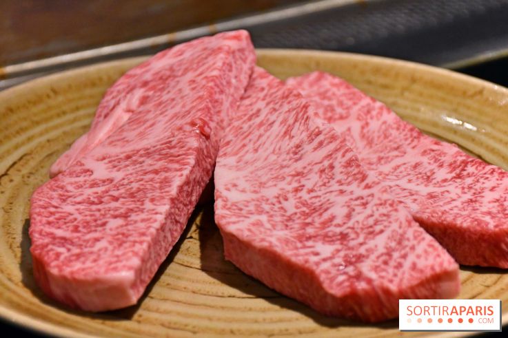 Ayako Paris, le restaurant pour les amoureux du Teppanyaki - Fotor