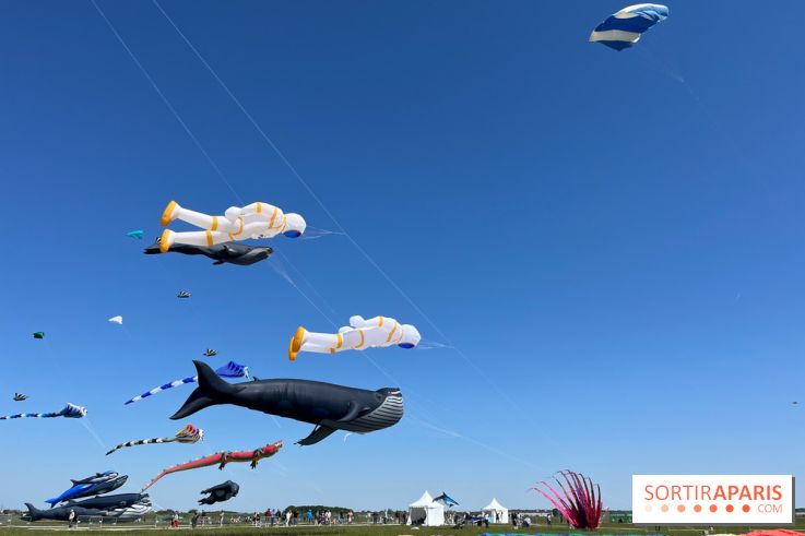 Festival de Cerfs-Volants à la Base 217 - IMG 2186