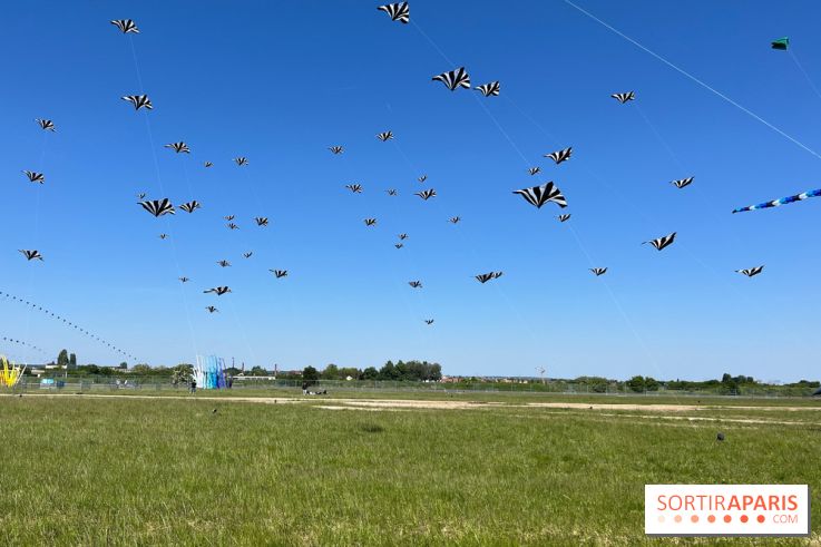 Festival de Cerfs-Volants à la Base 217