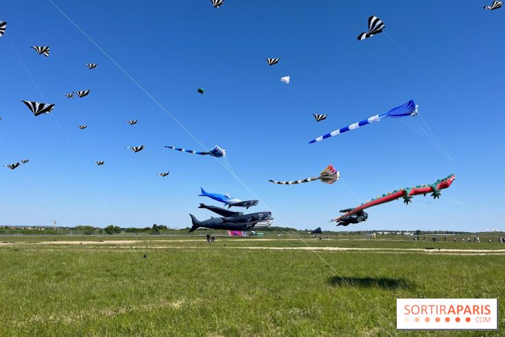 Festival de Cerfs-Volants à la Base 217 - IMG 2190
