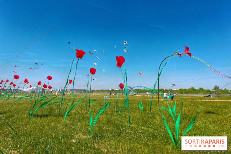 Festival de Cerfs-Volants à la Base 217