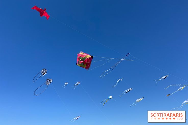 Festival de Cerfs-Volants à la Base 217