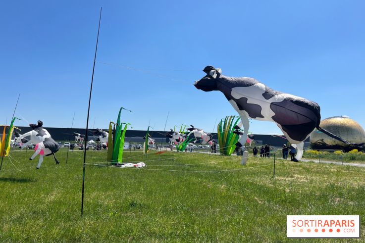 Festival de Cerfs-Volants à la Base 217