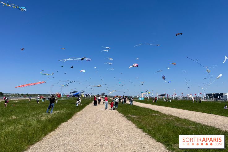 Festival de Cerfs-Volants à la Base 217 - IMG 2207