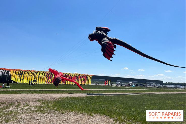 Festival de Cerfs-Volants à la Base 217 - IMG 2209