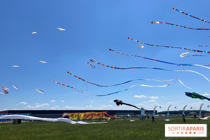 Festival de Cerfs-Volants à la Base 217 - IMG 2211