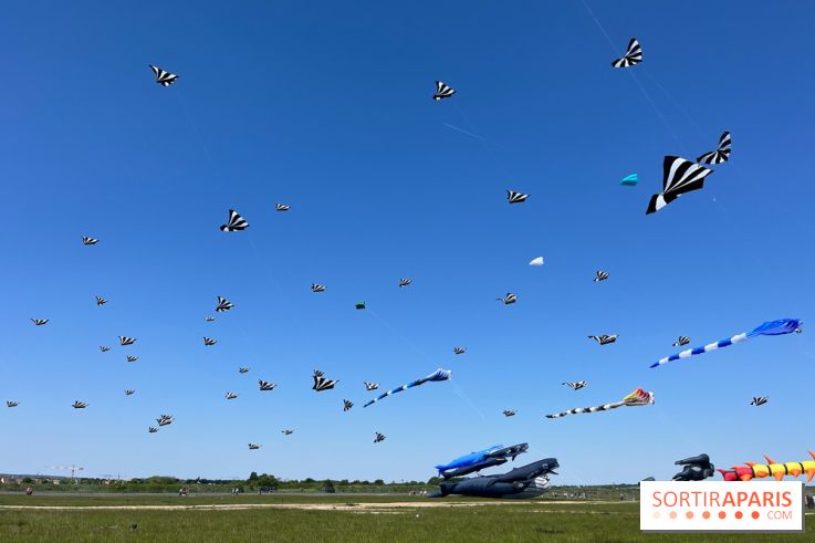 Festival de Cerfs-Volants à la Base 217 - IMG 2212