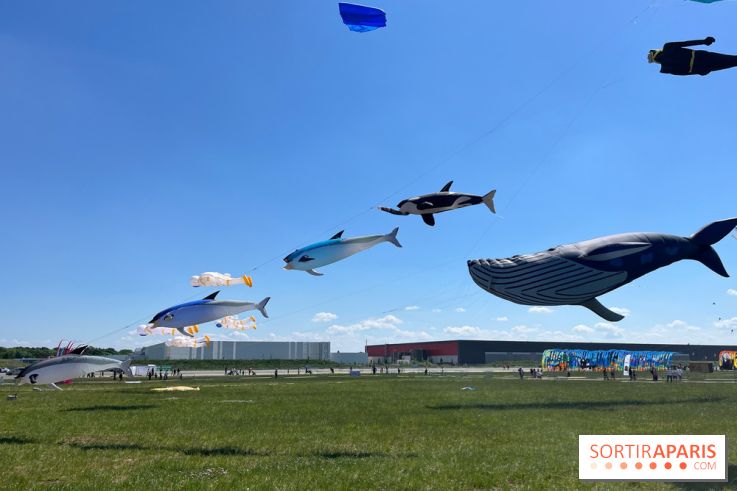 Festival de Cerfs-Volants à la Base 217 - IMG 2215