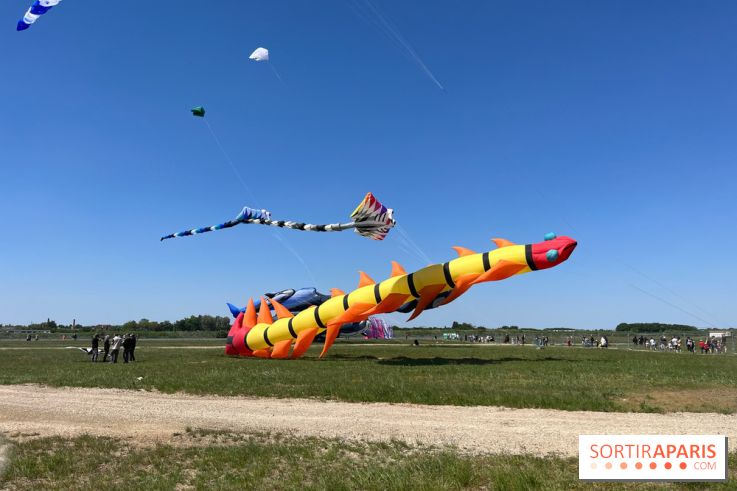 Festival de Cerfs-Volants à la Base 217 - IMG 2217