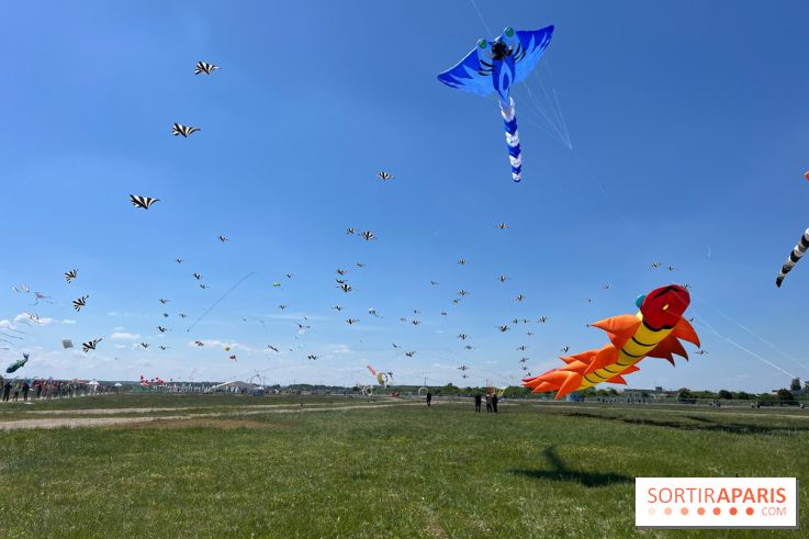 Festival de Cerfs-Volants à la Base 217 - IMG 2218