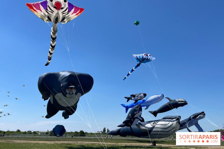 Festival de Cerfs-Volants à la Base 217