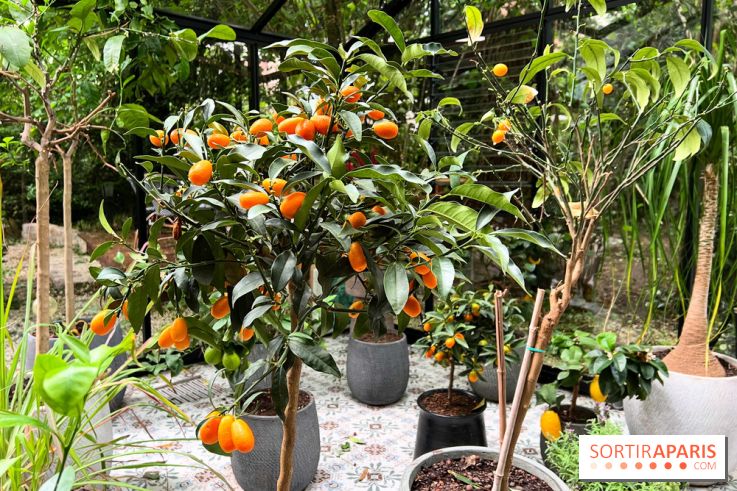 Villa9Trois - Orangerie