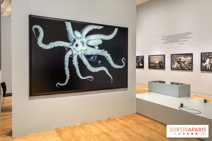 Jean Gaumy et la Mer : l'exposition maritime intimiste au Musée de la Marine