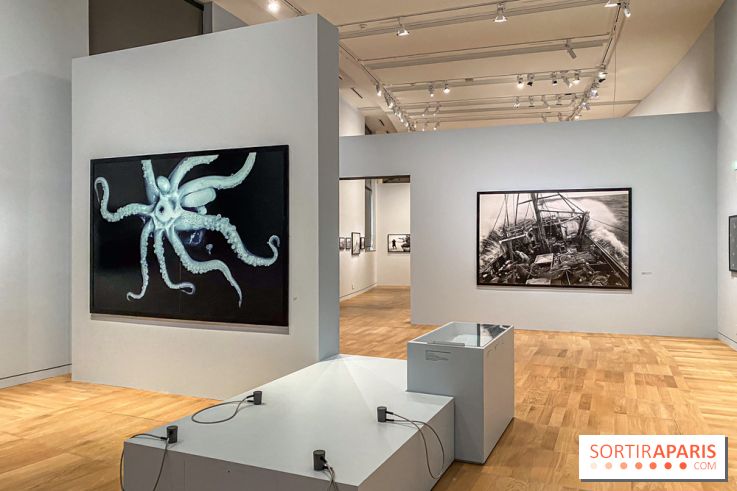 Jean Gaumy et la Mer : l'exposition maritime intimiste au Musée de la Marine - IMG 5478