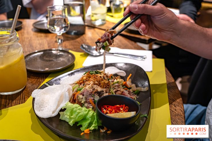 Comme au Vietnam, restaurant vietnamien Paris 13e - salade de boeuf