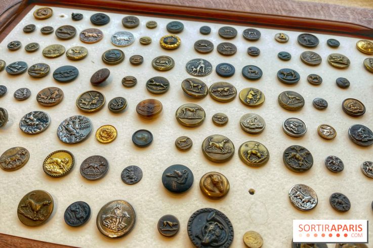 Collection dédié aux chiens - IMG 2308