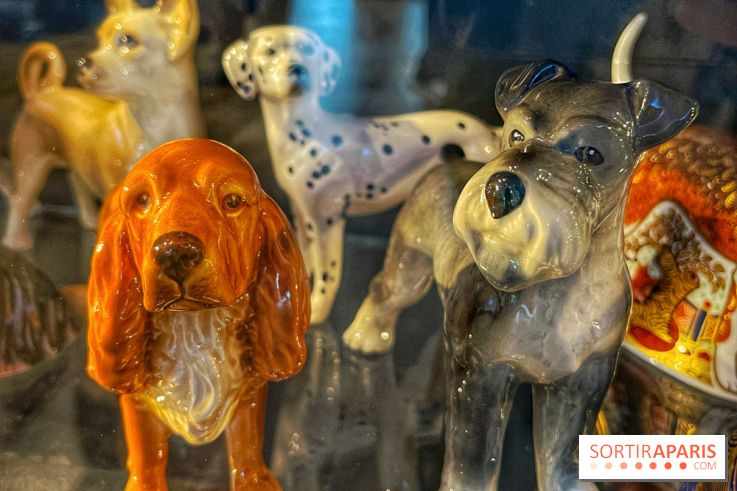 Collection dédié aux chiens