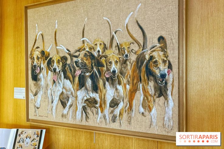 Collection dédié aux chiens