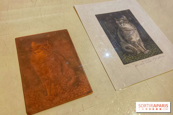 Musée Daubigny - IMG 2389