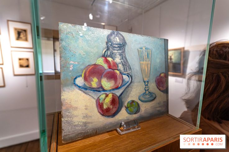 La maison du Docteur Gachet, les photos - A7C08623