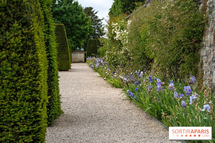 Exposition Van Gogh, les derniers voyages - photos - A7C08679